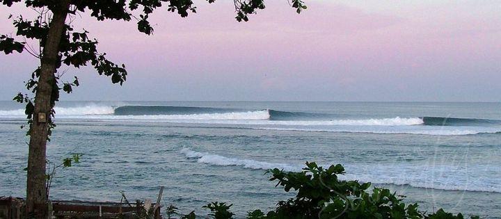 Location surf Krui
